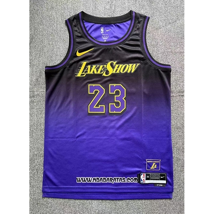 Camiseta Los Angeles Lakers LeBron James #23 Ciudad 2024-25 Violeta